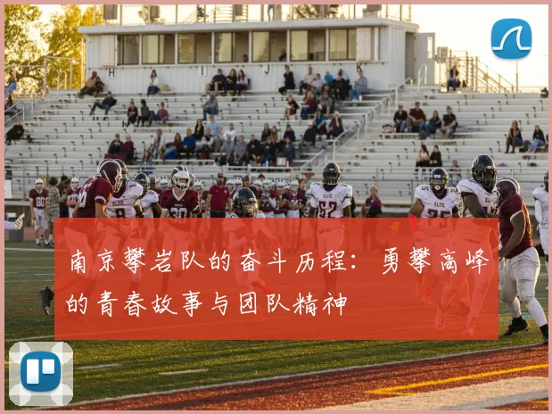 南京攀岩队的奋斗历程：勇攀高峰的青春故事与团队精神