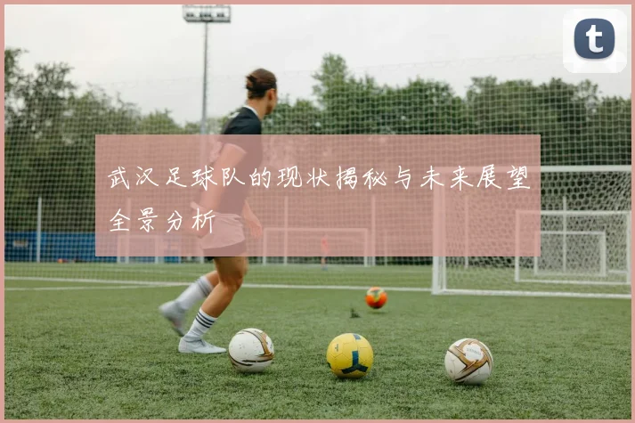武汉足球队的现状揭秘与未来展望全景分析